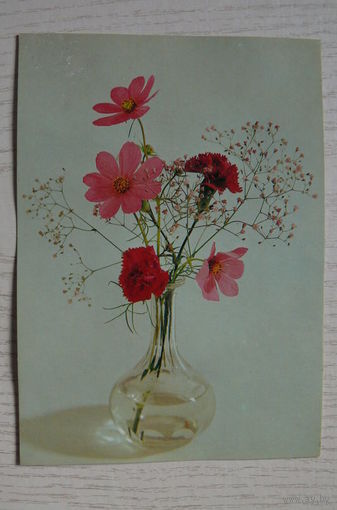 Цветы; чистая (изд. Прага).