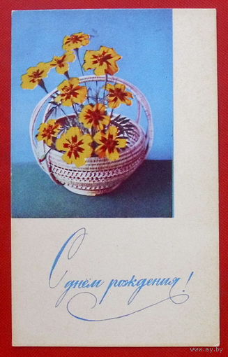С Днём Рождения! Чистая. 1968 года. Игнатович. 41.