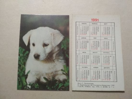 Карманный календарик. Собака. 1991 год