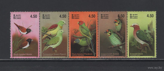Фауна Птицы Шри-Ланка 2003 Тропические птицы острова Шри-Ланка