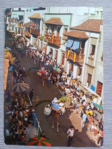 Этнография. Канарские острова, Гран Канария. Принесение жертвы Богоматери жителями деревень архипелага