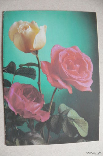 Костенко Г., Поздравляю! 1990, двойная, подписана.