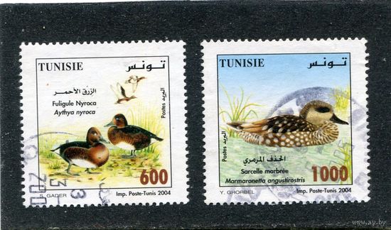 Тунис. Фауна. Местные виды птиц