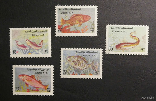 Сирия 1978 г. Пресноводные рыбы. Фауна, полная серия из 5 марок. Чистая #0237-Ф1P46