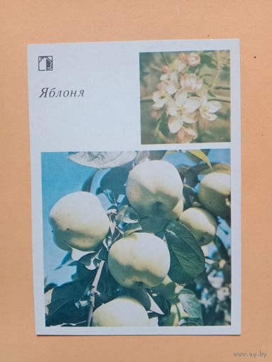 Открытка 1986