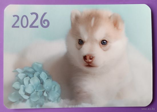 Собака.  Календарик, глянец, 2026.ТРАСКО