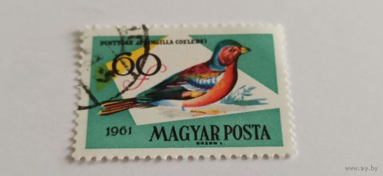 Венгрия 1961птицы