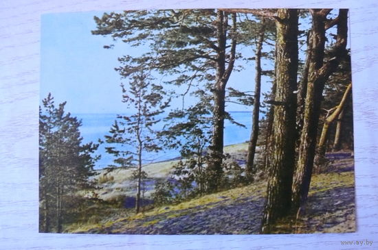 Прибалтика, Латвийская ССР, Морской берег в Пабажи; чистая.