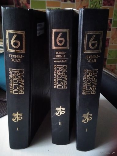 Энцыклапедыя гісторыі Беларусі в 6 тамах. Том 6, книга 1 (2 штуки), книга 2. / 81