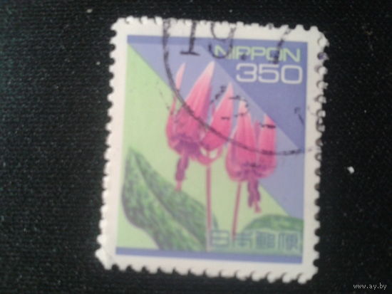 Япония, 1994. Кандык. Mi-1.4 евро гаш.