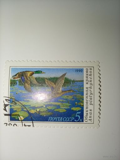 СССР 1990г. Обыкновенная кряква.