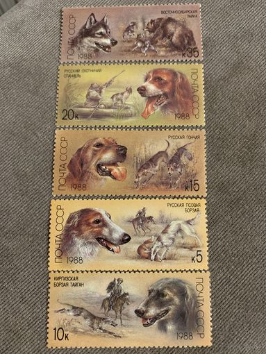 СССР 1988. Охотничьи породы собак. Полная серия