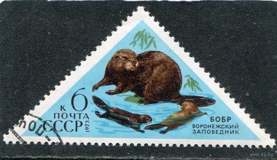 СССР 1973.. Заповедник. Бобр
