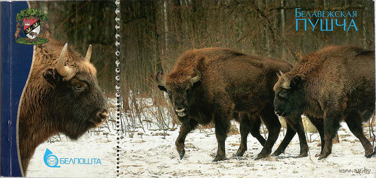 Набор почтовых открыток "Беловежсая пуща" (16 открыток)
