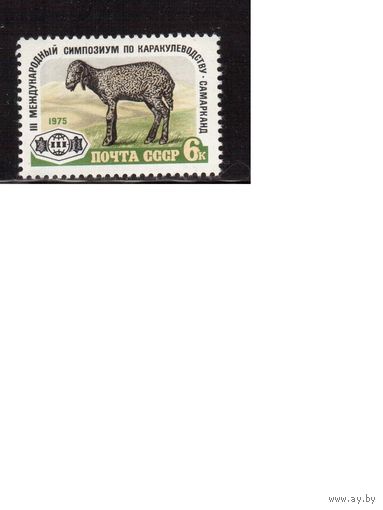 СССР-1975, (Заг.4455) **  , Симпозиум по каракулеводству