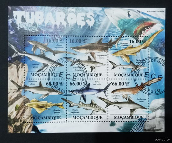 ФАУНА РЫБЫ МОРСКИЕ ОБИТАТЕЛИ    БЛОК  сто