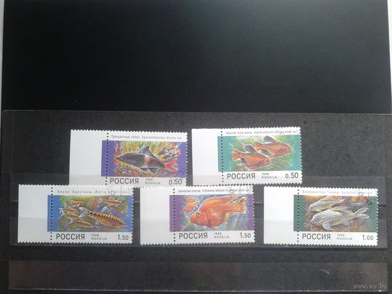 Россия 1998 Аквариумные рыбки Полная серия