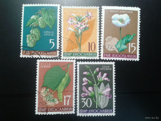 Югославия, 1955. Растения