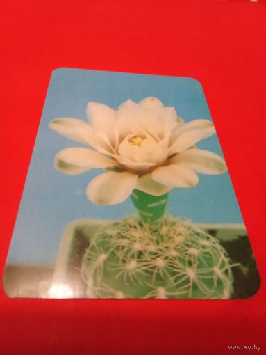 Календарик 1990г.