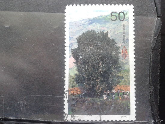 Китай, 1997. Чайный куст