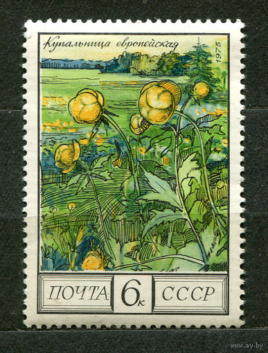 Флора. Цветы. Купальница. 1976. Чистая