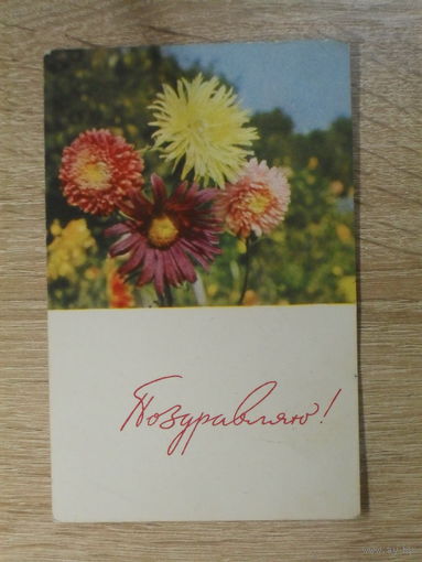 ПОДПИСАННАЯ ОТКРЫТКА СССР. "ПОЗДРАВЛЯЮ" фото. Е. ИГНАТОВИЧ. 1966 год.