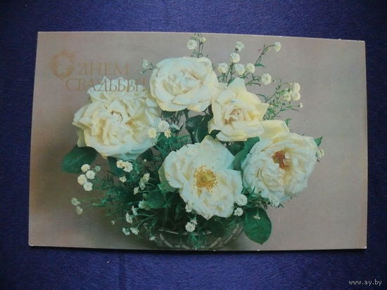 Фото Савалова Е., С днём свадьбы! 1983, чистая.