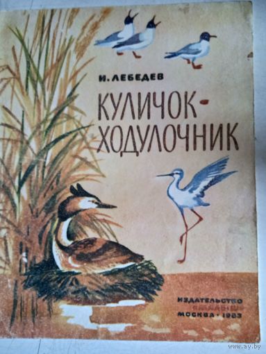 Куличок-ходулочник