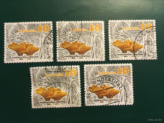 ЦІКАВІЦЬ АБМЕН! 2014, лісічкі, 10 рапэнаў