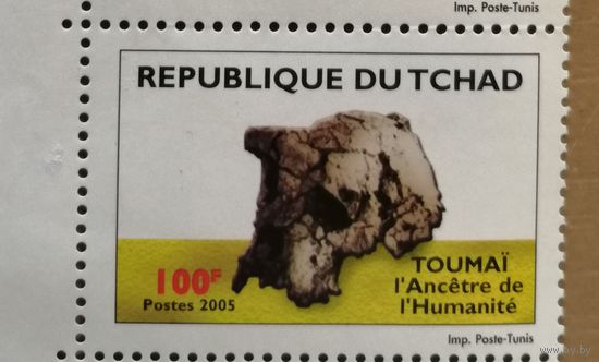 Марка Чад 2005 г., посвященная "ТУМАЮ" -- древнейшему предку человека, череп тумая