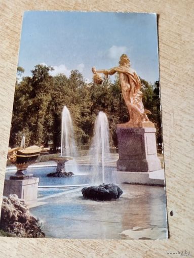 Петродворец. Большой каскад.Персей. 1969г.