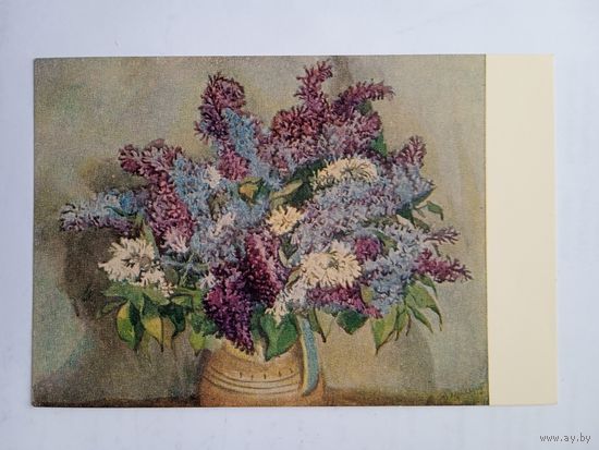 1953. Купецио. Сирень