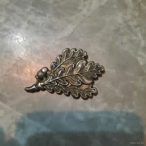 "Дубовые листья ". Кокарда на кепи немецких егерей.