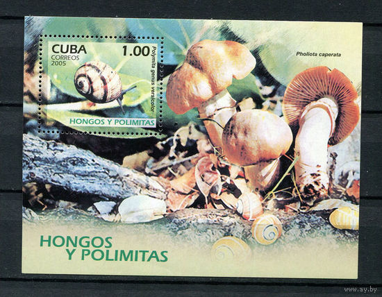 Куба - 2005 - Грибы и улитки - [Mi. bl. 208] - 1 блок. MNH.