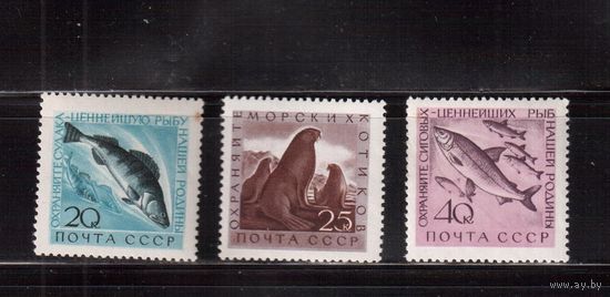 СССР-1960, (Заг.2382-2384)  **/*  ,Морская фауна, Рыбы