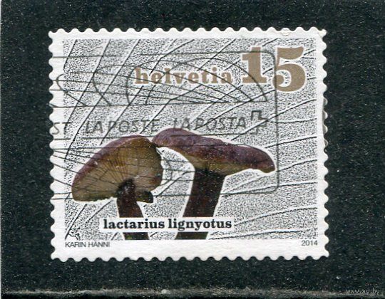 Швейцария. Грибы
