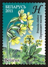 2011. 862-863. Флора **