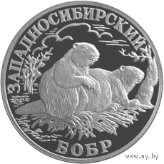 Красная книга: Западносибирский бобр