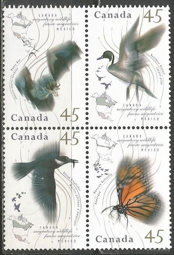 Канада. Перелётные птицы. 1995г. Mi#1500-503. Кв.блок. Серия.