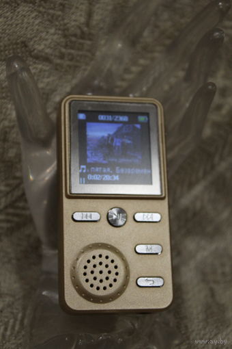 ОТЛИЧНЫЙ МЕТАЛЛИЧЕСКИЙ ПЛЕЕР С ДИНАМИКОМ 4GB