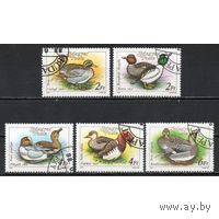 Марки Венгрия 1988. Утки. Серия из 5 марок