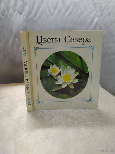Цветы Севера