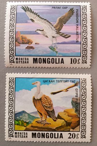 Птицы. Монголия, 1976