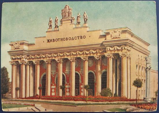 ВСХВ. Павильон животноводства. 1954 г.