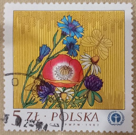 Польша 1982. Флора. Полевые цветы