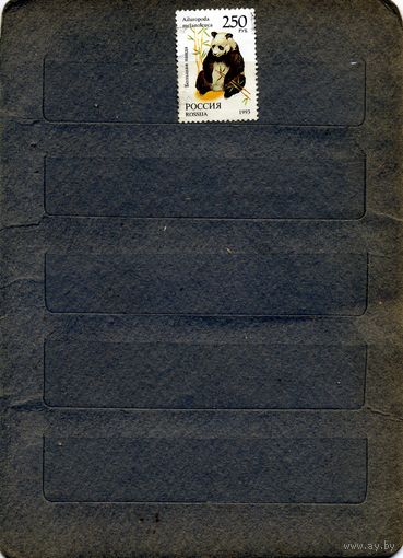 РОССИЯ, 1993, фауна 1м