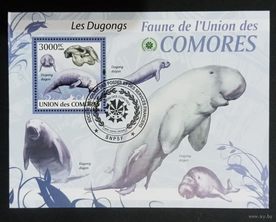 ФАУНА РЫБЫ МОРСКИЕ ОБИТАТЕЛИ    БЛОК  сто