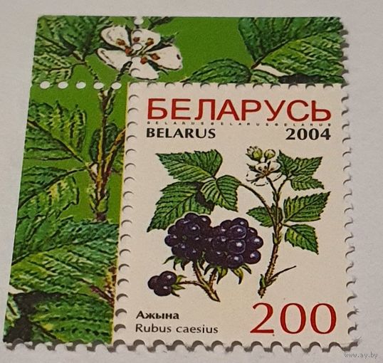 Ягоды 2004