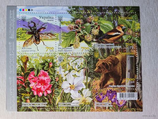 Украина. 2018. блок Карпатский заповедник флора фауна