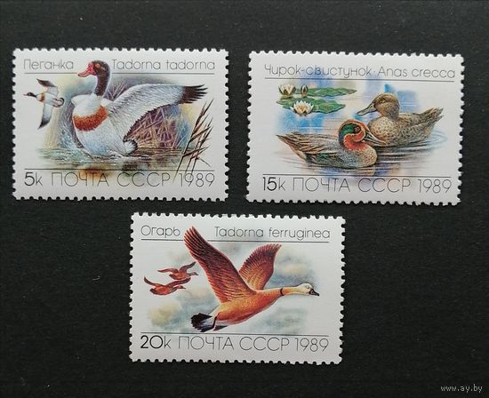 СССР/1989/ Птицы. Утки. Фауна. /  3 марки